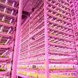 Vertical Farming Facility