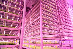 Vertical Farming Facility