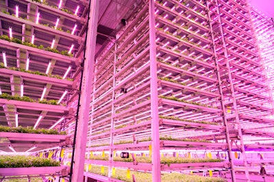 Vertical Farming Facility
