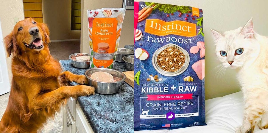 Instinct raw cat hot sale