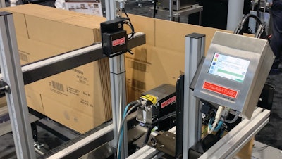 Photo 17—Squid Ink