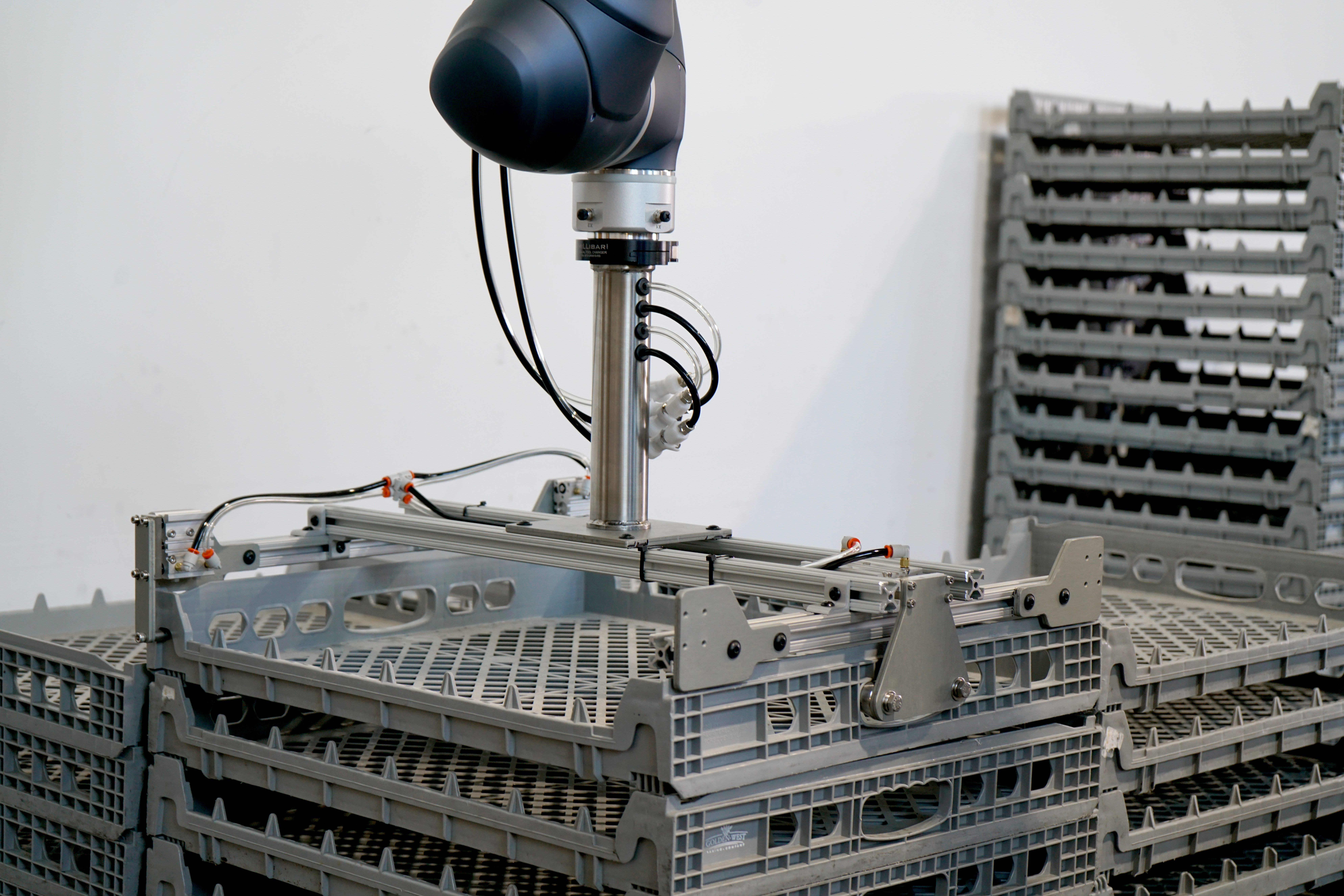 Apex Motion Control Bread Loaf Traystackingpackaging