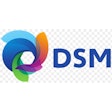 Dsm Logo