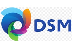 Dsm Logo