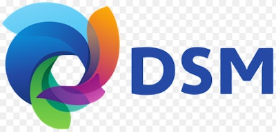 Dsm Logo