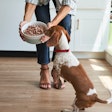 According to the American Pet Products Association, $58.1 billion was spent on pet food and treats in 2022, projected to be $62.7 billion in 2023.
