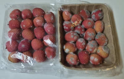 Zeltzer_3_Sustainable_Packaging