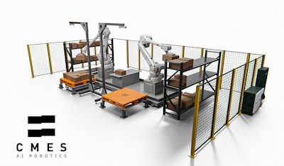 Cmes Mixed Case Palletizer2