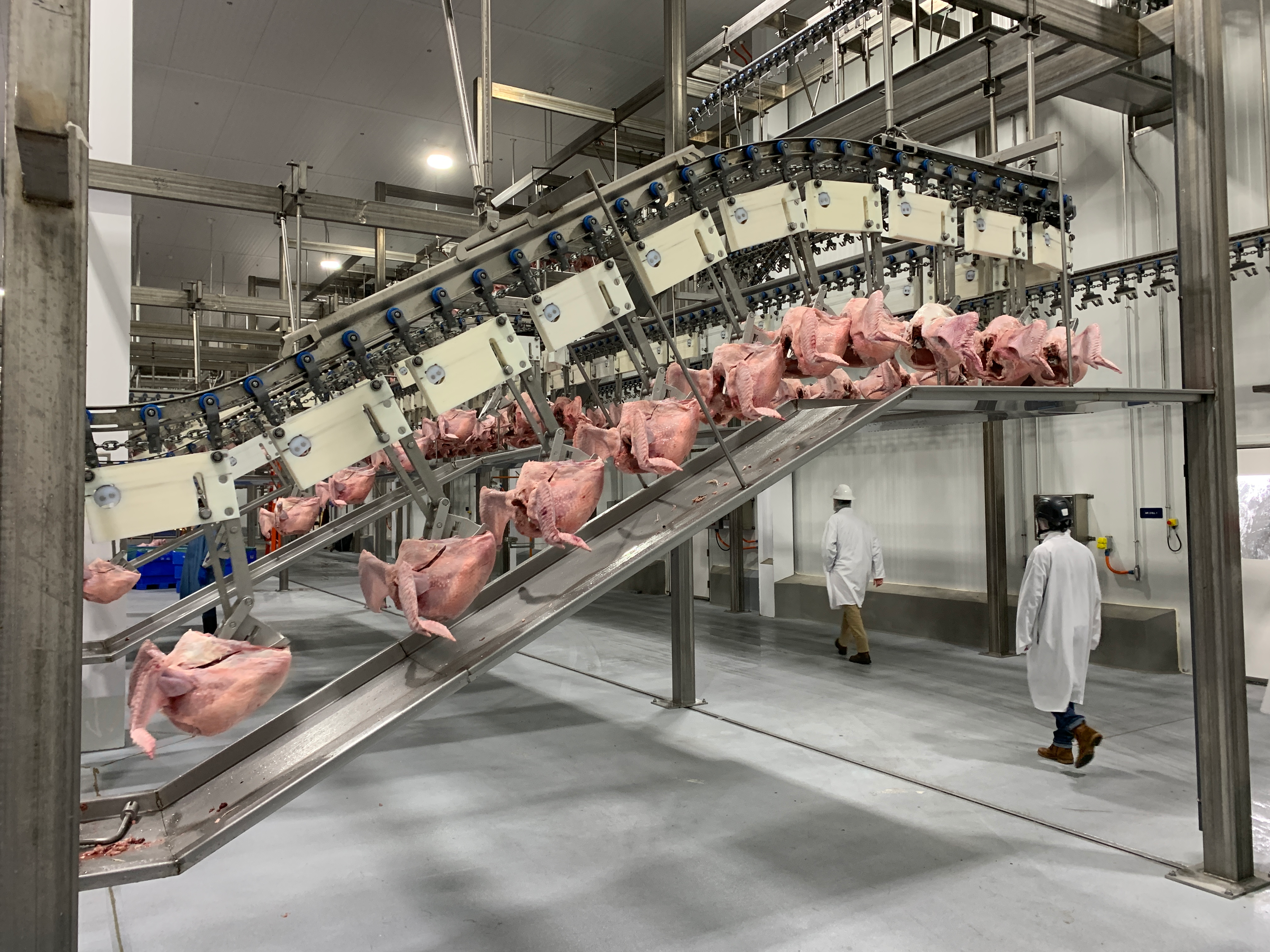 Automation turkey processing Prestage Foods