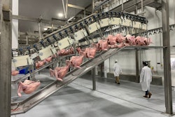 Automation turkey processing Prestage Foods