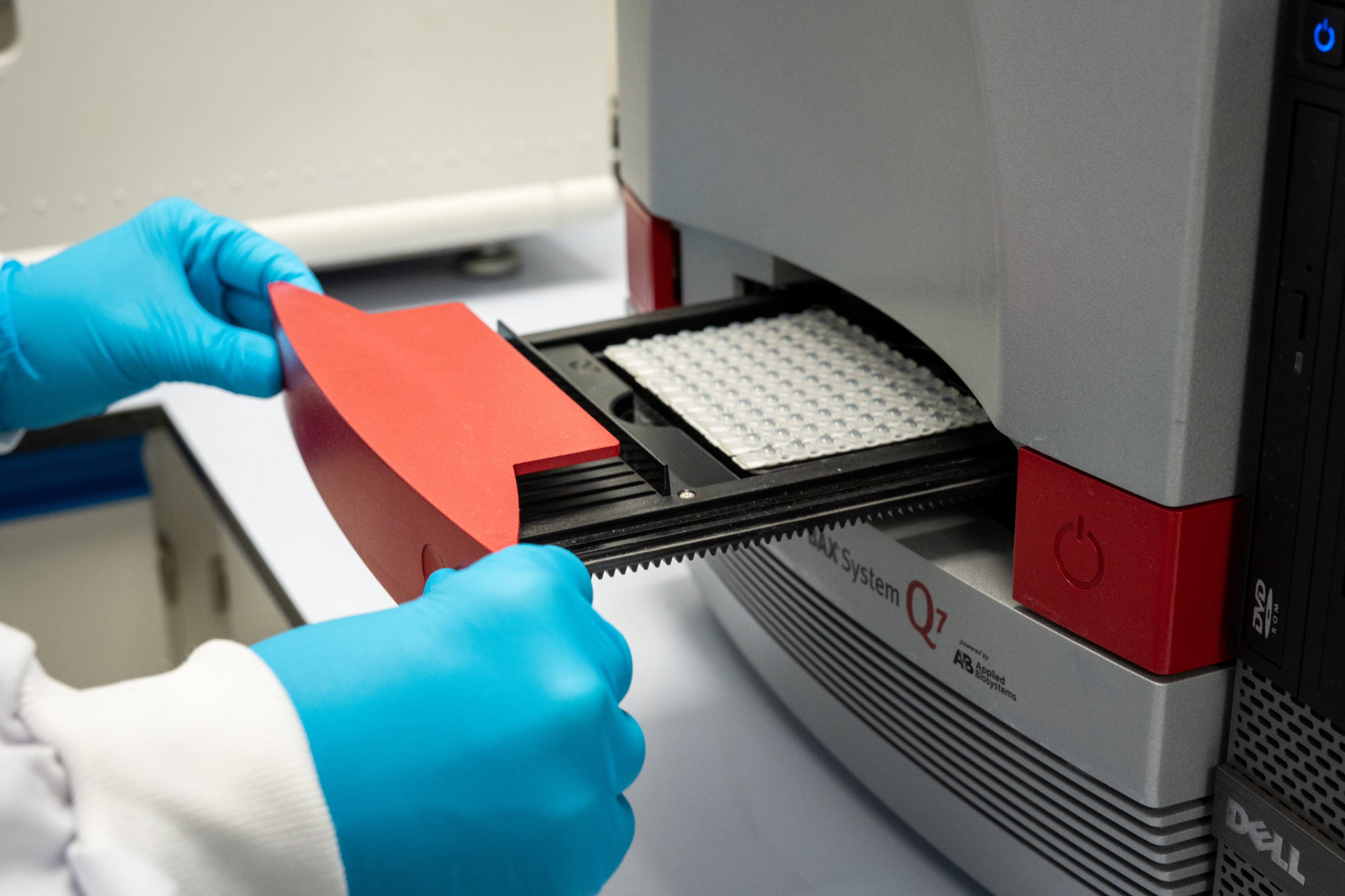 Salmonella quantification detection SalQuant