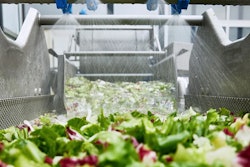The SPLASH project showed the efficacy of plasma-treated wash water for reducing the risk of contamination in packaged cut salads.