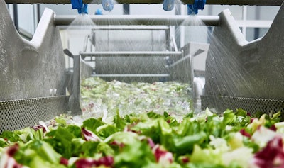 The SPLASH project showed the efficacy of plasma-treated wash water for reducing the risk of contamination in packaged cut salads.