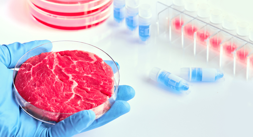 Cell cultivated meat; lab grown meat