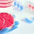 Cell cultivated meat; lab grown meat