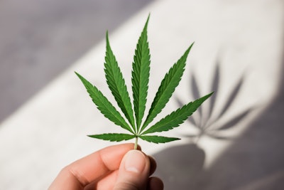 Cannabis packaging recycling program takes off in Massachusetts.