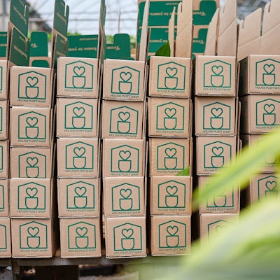 The items are delicate, and the packaging solution must transition from summer to winter without having to swap between multiple solutions. To do this, Veritiv and House Plant focused on strength of the package around the base of the plants. This ensured the plants were stable and protected when they were stacked on one another and when we place multiple plants in one box.