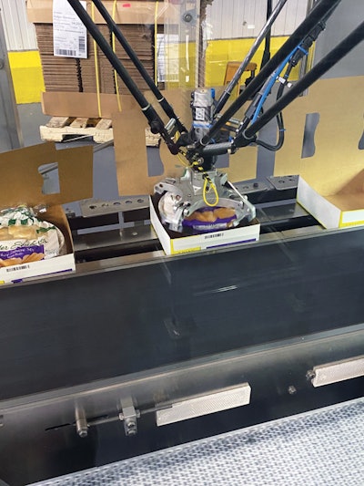 T. Marzetti uses delta robots to pick bagged pans of Sister Schubert rolls from the conveyor belt, rotate them so that the ponytail is in the 12 o’clock position, and place them into a carton.
