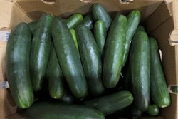 Recalled cucumbers salmonella
