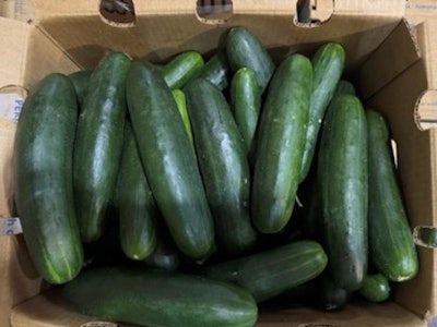 Recalled cucumbers salmonella