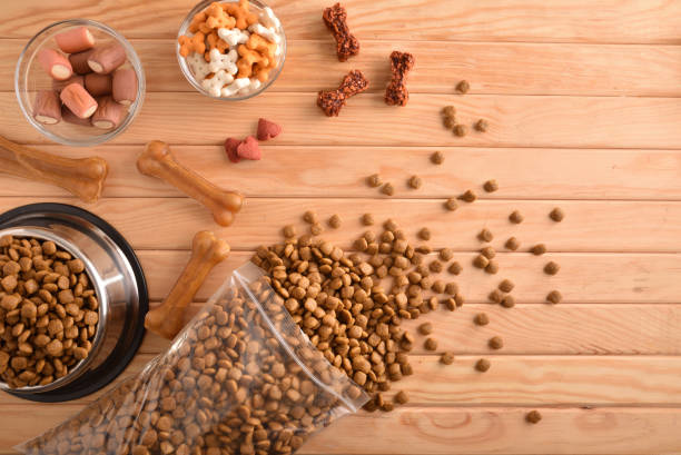 Pet Food Ingredients Market
