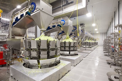 Lettuce Weighing Taylor Farms