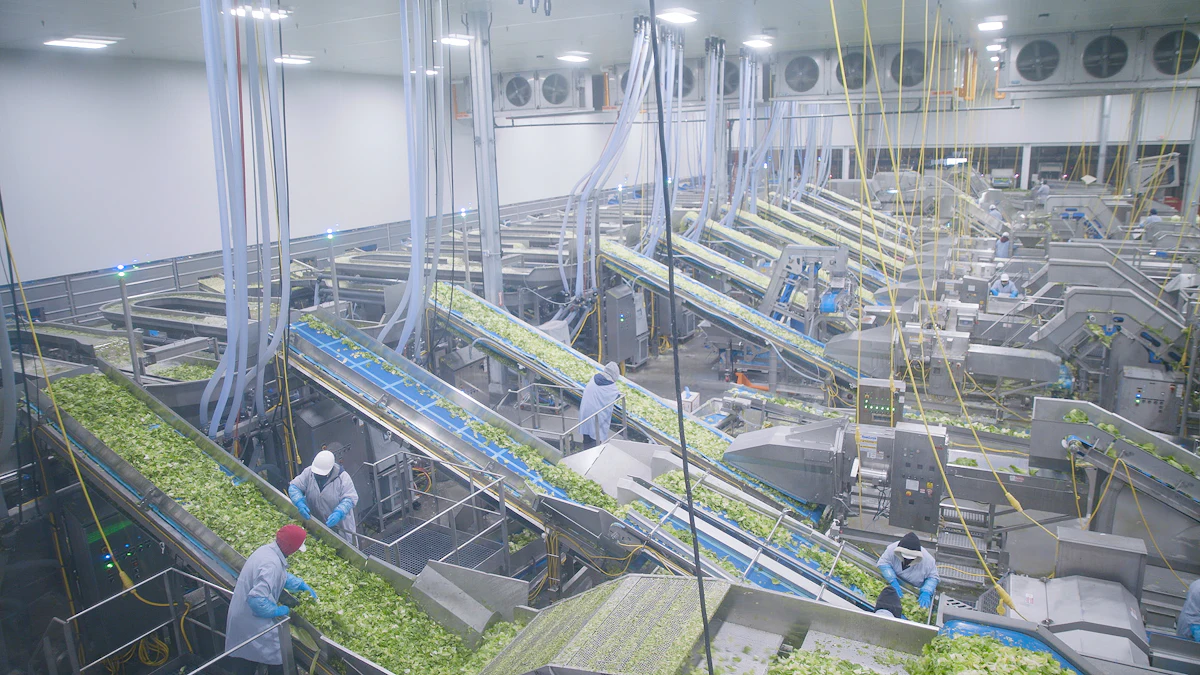 How Taylor Farms Rebuilt After Disaster | ProFood World