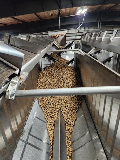 The Vanmark system receives and stores potatoes, then unloads them when its time for processing.