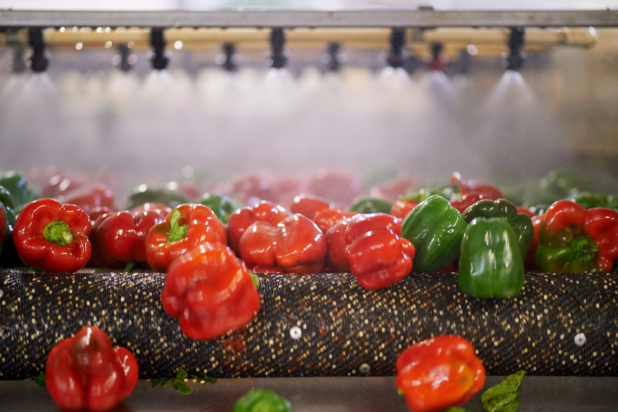 There have been a total of 32 food recalls since the start of 2024.