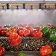 There have been a total of 32 food recalls since the start of 2024.