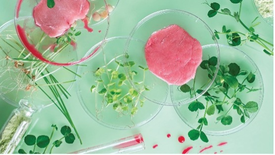 Rocwell Automation Alternative Protein Image