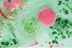 Rocwell Automation Alternative Protein Image