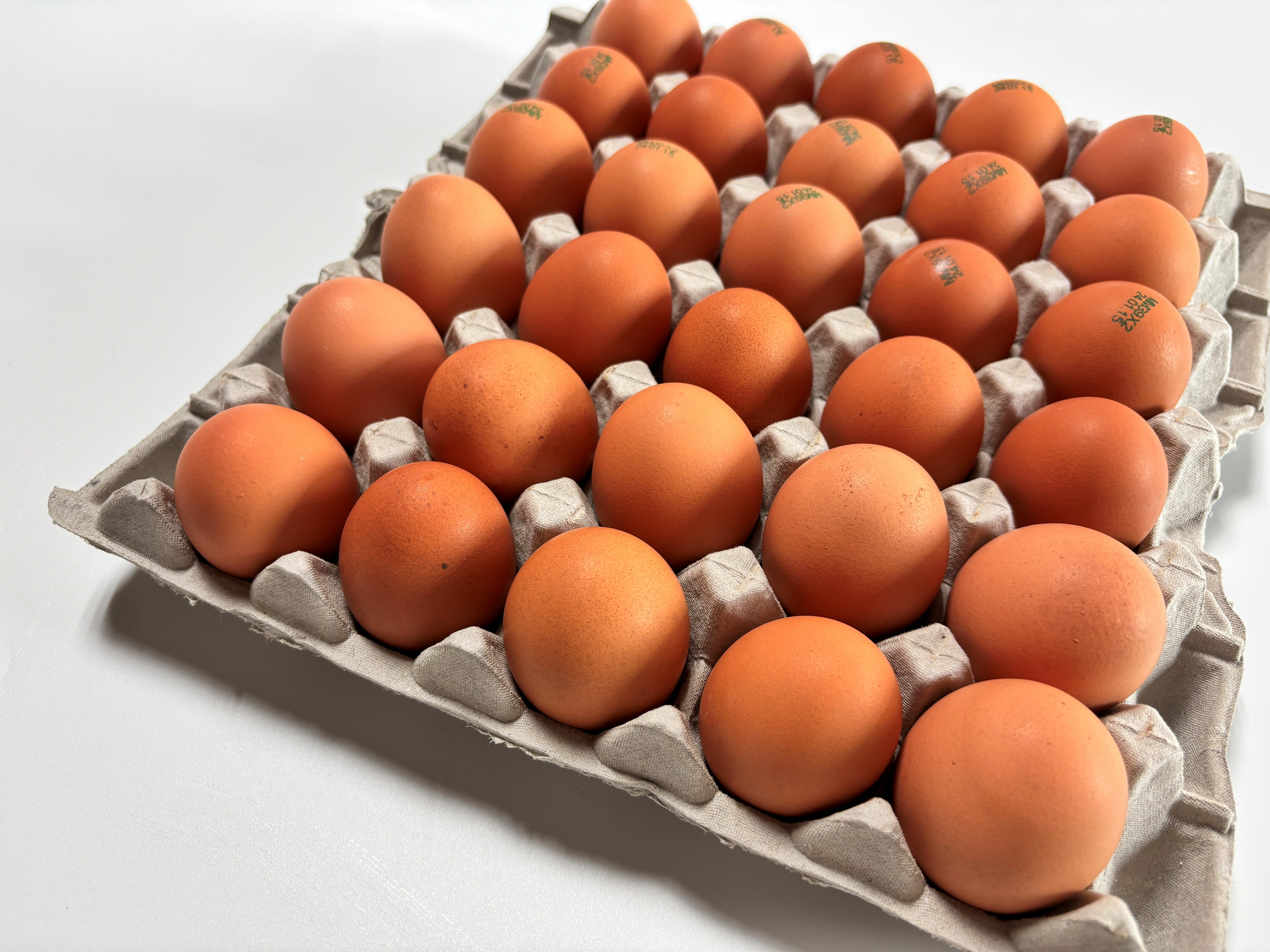 Adobe Stock 713094934