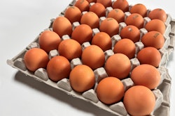 Adobe Stock 713094934