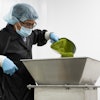 An operator empties a scoop of hand-weighed powder into the mixer intake, which remains stationary as the vessel turns.
