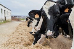 Proper pasteurization effectively kills the H5N1 virus, and farmers dispose of milk from cows known to be sick, mitigating risk for dairy producers.