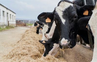 Proper pasteurization effectively kills the H5N1 virus, and farmers dispose of milk from cows known to be sick, mitigating risk for dairy producers.