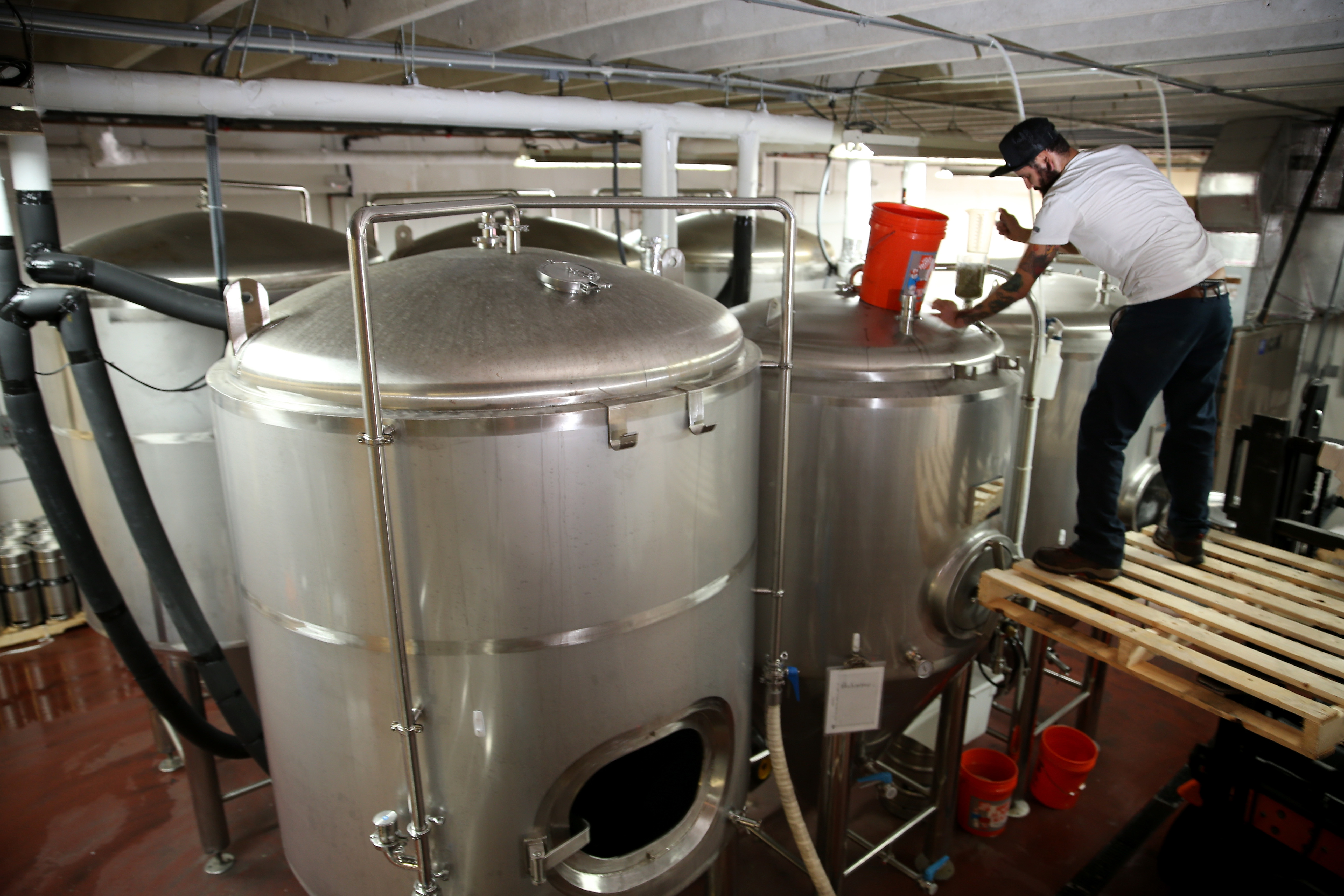 Fermentation Getty Image