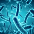 High pressure processing disrupts microbes through intense pressure, pasteurizing products without the use of heat.
