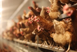 The voided agreement follows rising fears about bird flu as the disease continues to spread among livestock in the U.S.