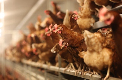 The voided agreement follows rising fears about bird flu as the disease continues to spread among livestock in the U.S.
