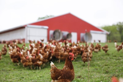 Vital Farms says its ethics are exemplified by its focus on the humane treatment of farm animals and sustainable farming practices.