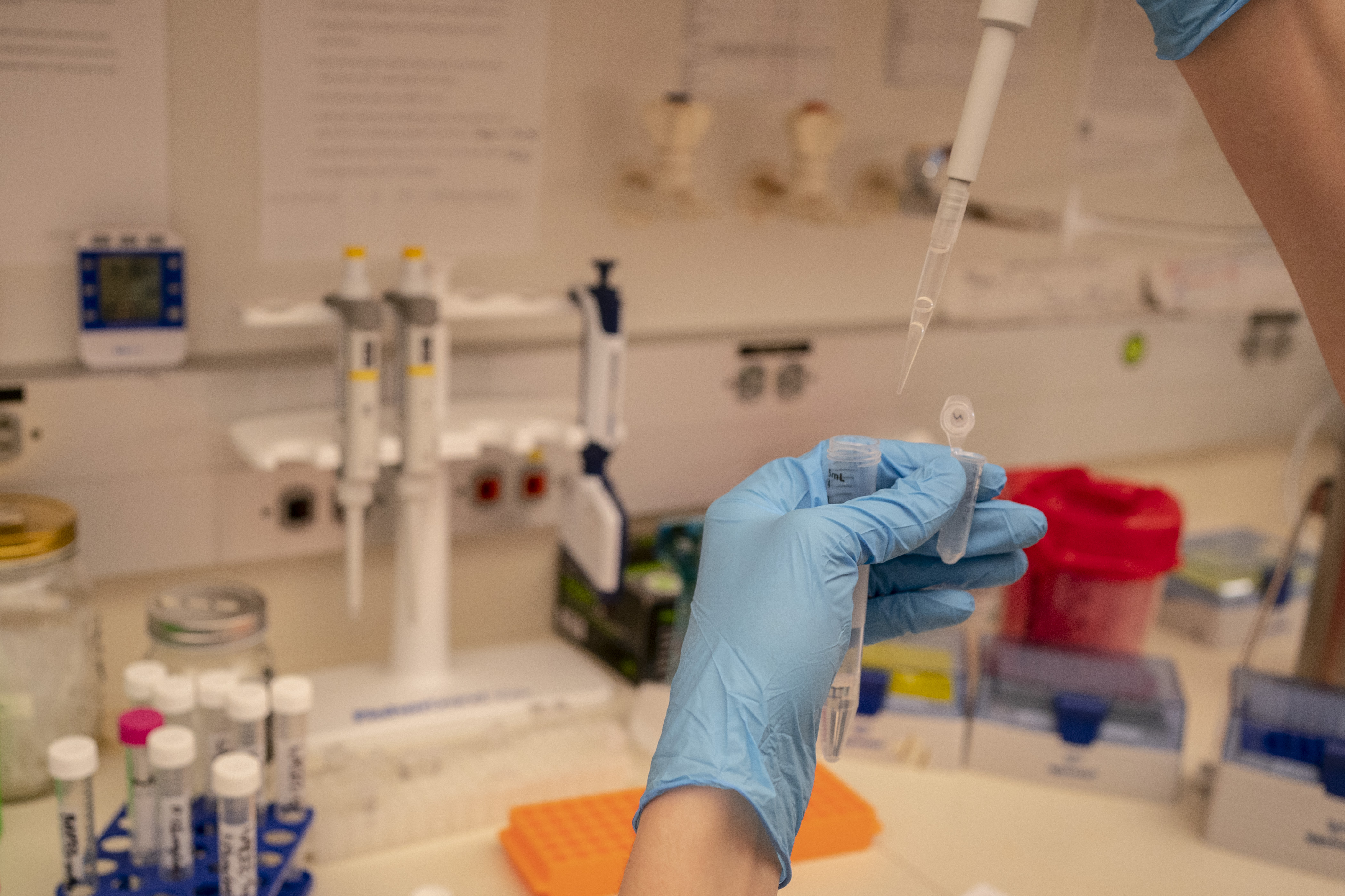 The priorities are designed for researchers who may help FSIS advance its food safety goals.