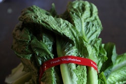 The LED technology helps Greenway provide custom light to its lettuces, which yields greater operational effiency and sustainability achievement.