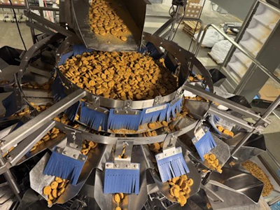 Industrial food packaging machine sorting golden nuggets into blue-lined compartments