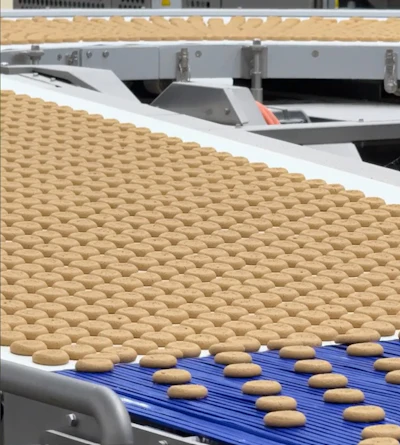 Golden cookies moving on blue conveyor belt in food manufacturing facility