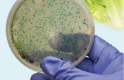 Contamination testing and adherence to third-party standards play a significant role in sanitation compliance.