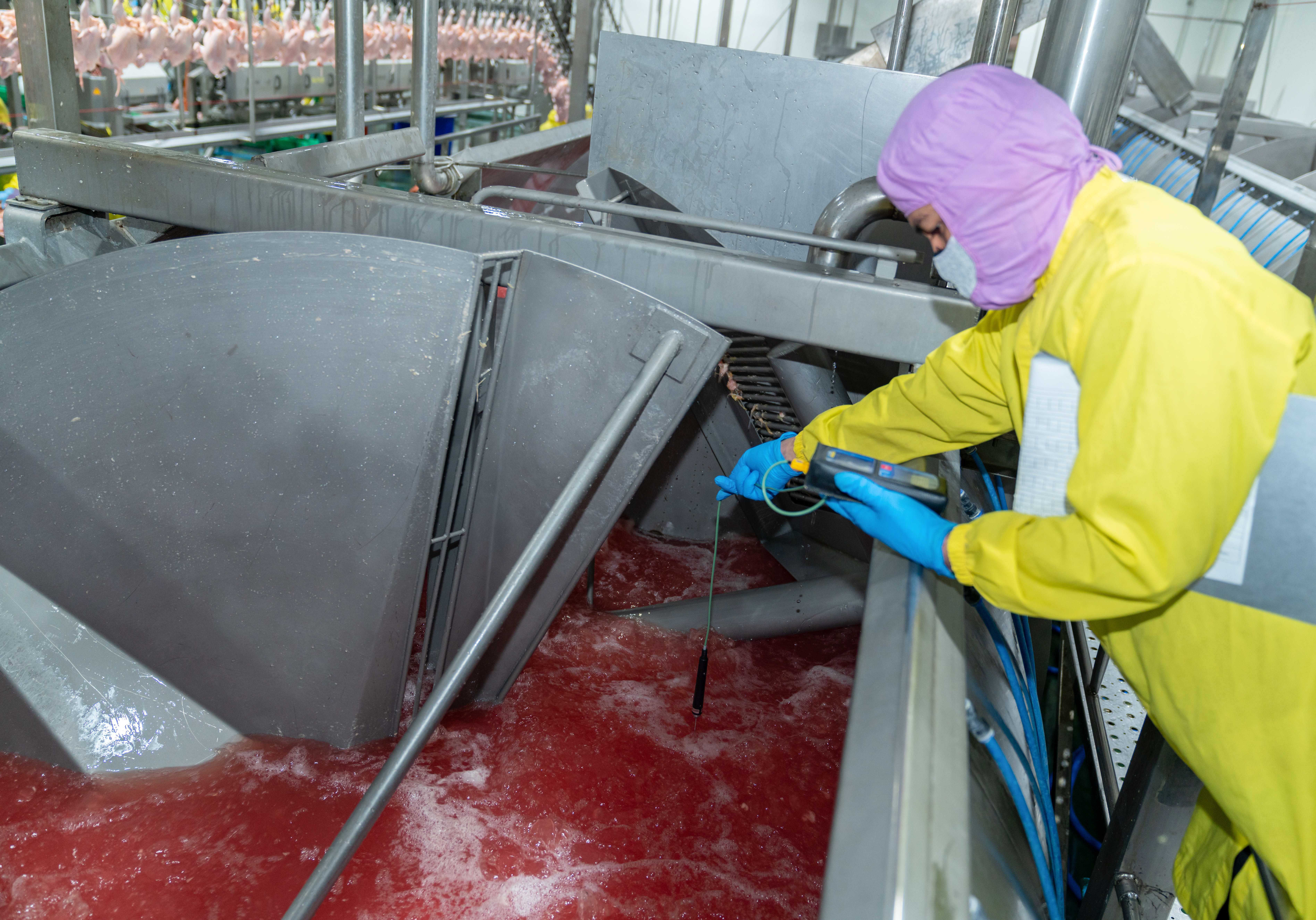 While workforce challenges exist in the food and beverage industry, a comprehensive team approach is necessary to identify opportunities.