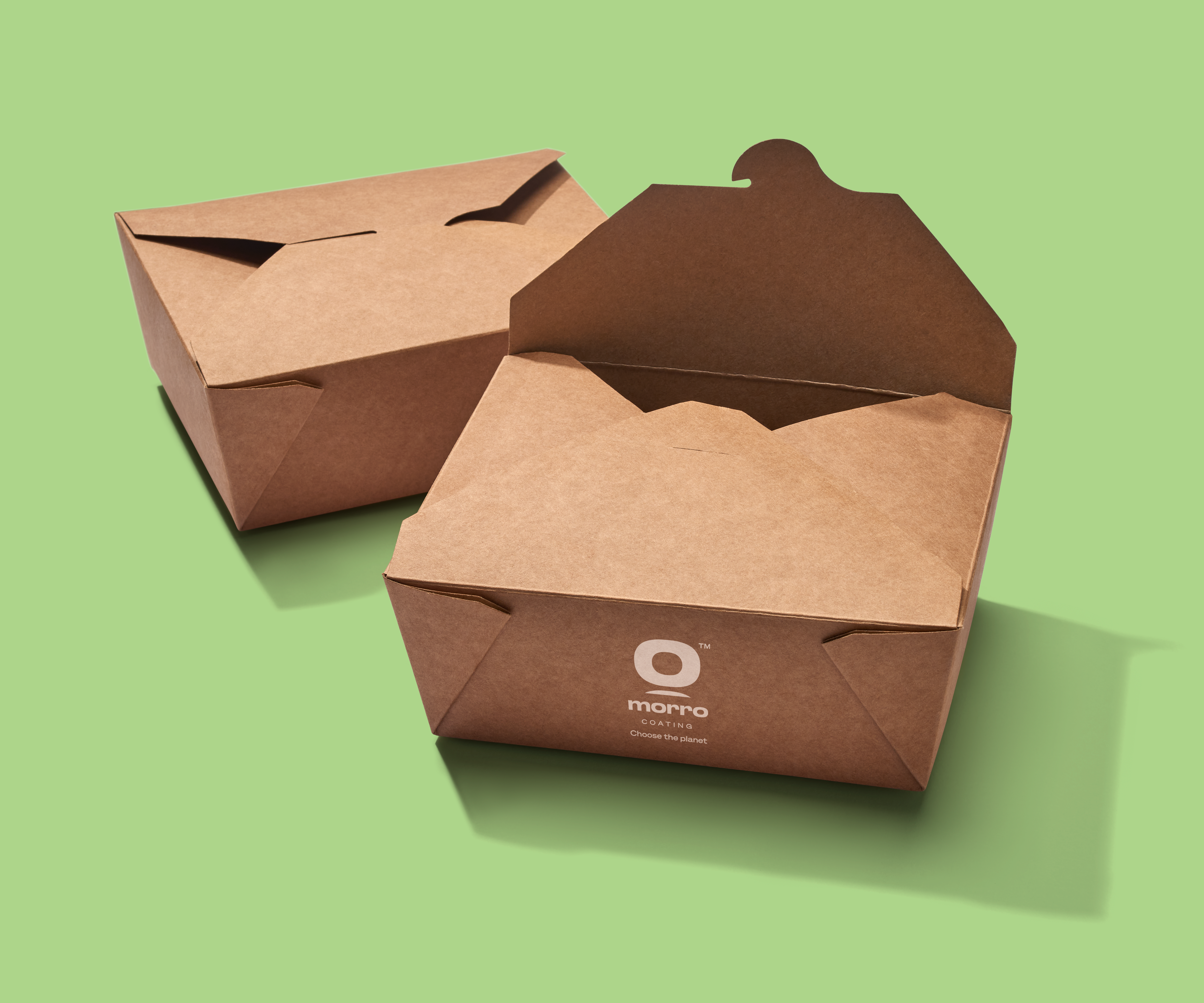 Takeaway Box Double New Green