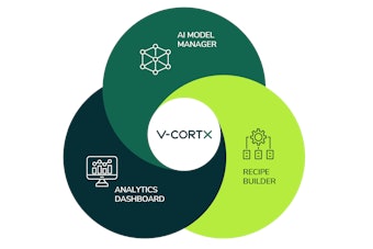 Vcortx Illustration Copy